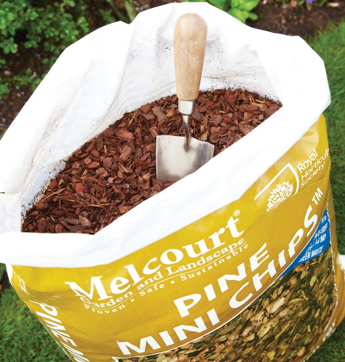 Pine Mini Chips Products Fountain Timber