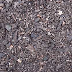 Composted Bark